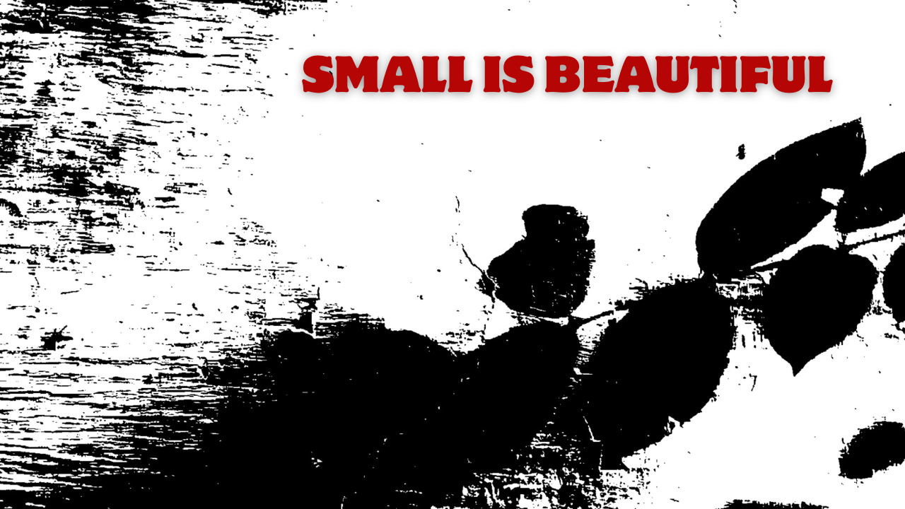 Small Is Beautiful - a campaign by Act World Theatre